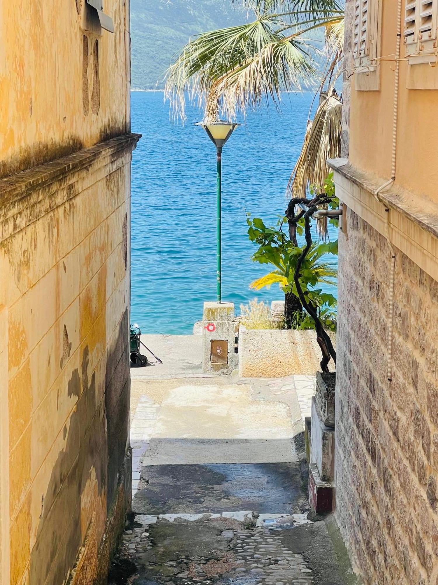 Hearth Of Rose Apartment Herceg Novi Ngoại thất bức ảnh