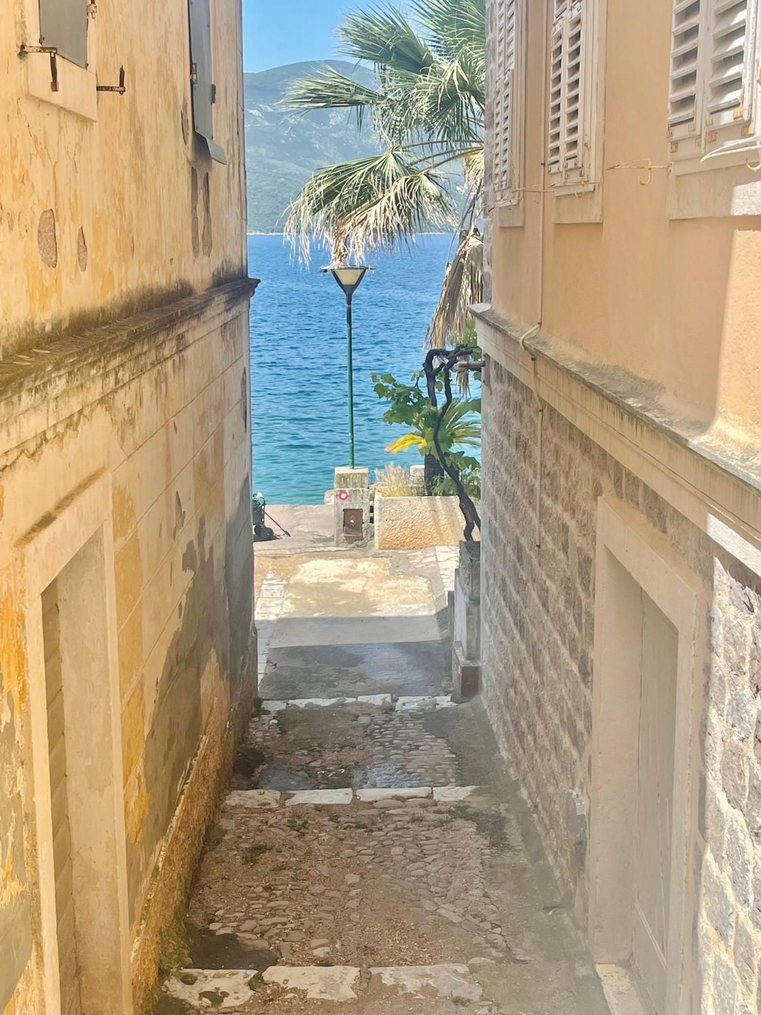 Hearth Of Rose Apartment Herceg Novi Ngoại thất bức ảnh